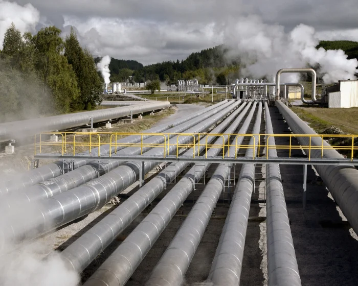 Steam and Condensate Return Lines